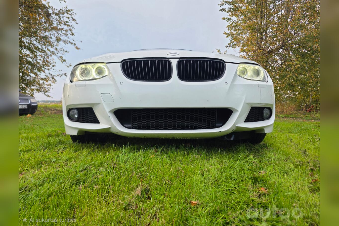 BMW 320 2013