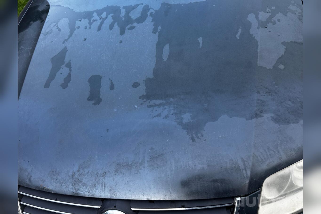Volkswagen Passat B5.5 [restyling] Sedan