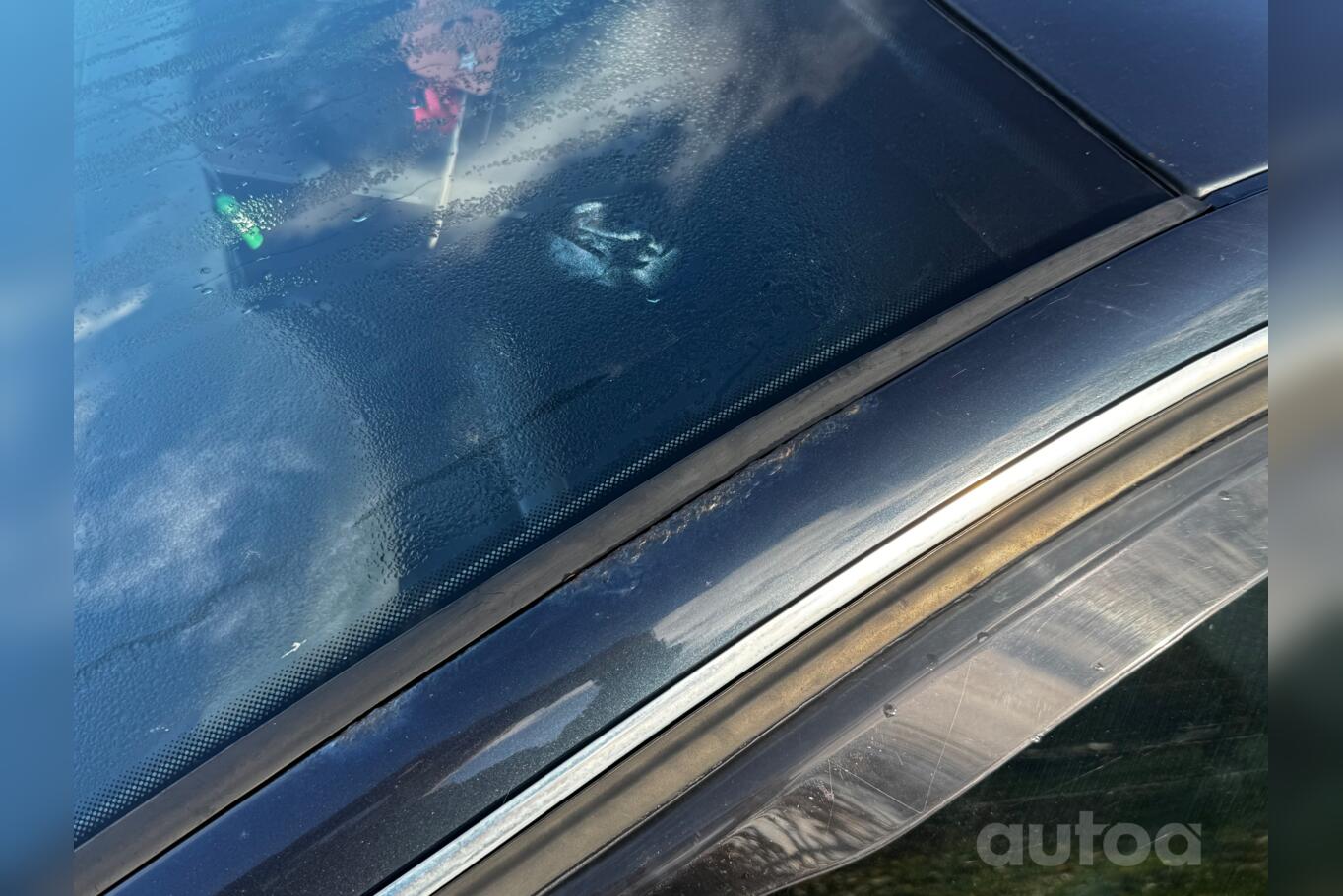 Volkswagen Passat B5.5 [restyling] wagon