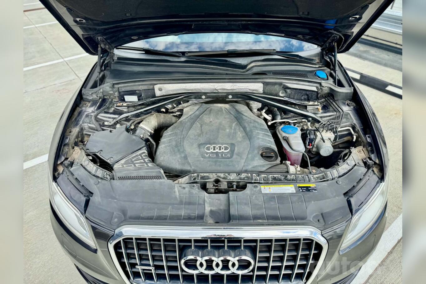 Audi Q5 8R [restyling] Crossover