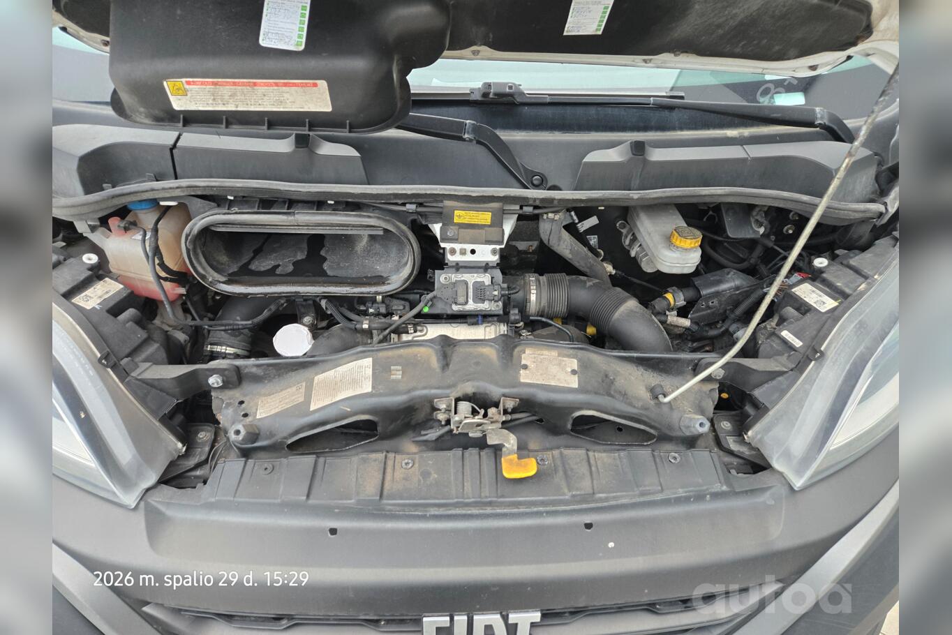 Fiat Ducato 3 generation [restyling]