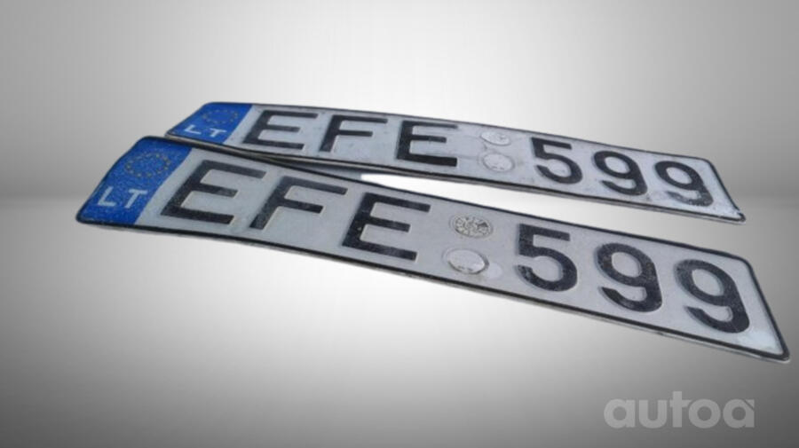 EFE599