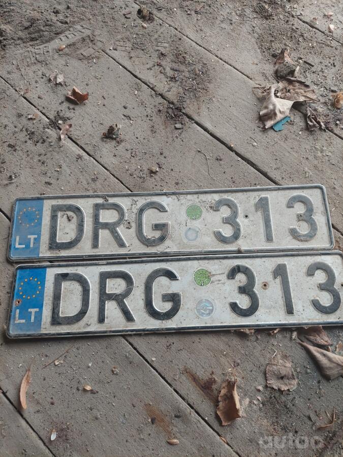DRG313