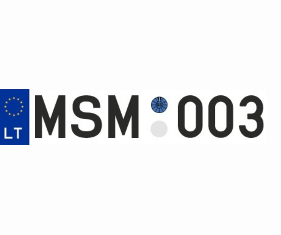 MSM 003