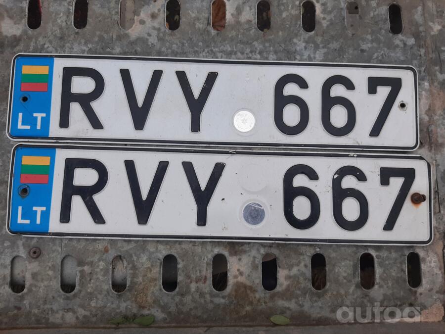 RVY667