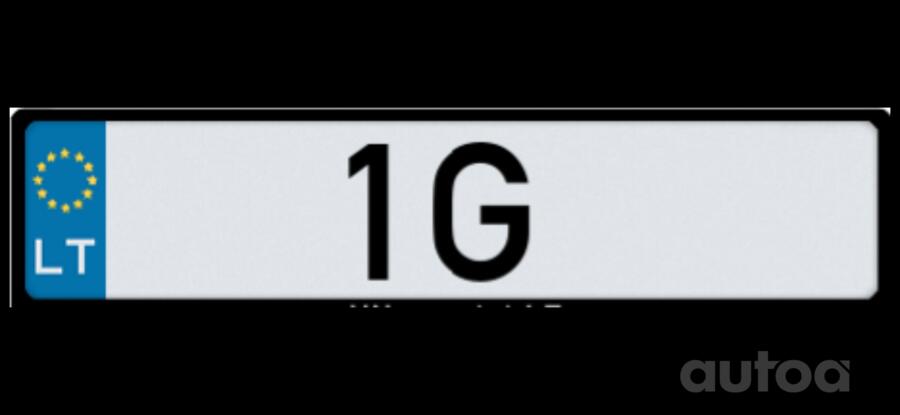 1G