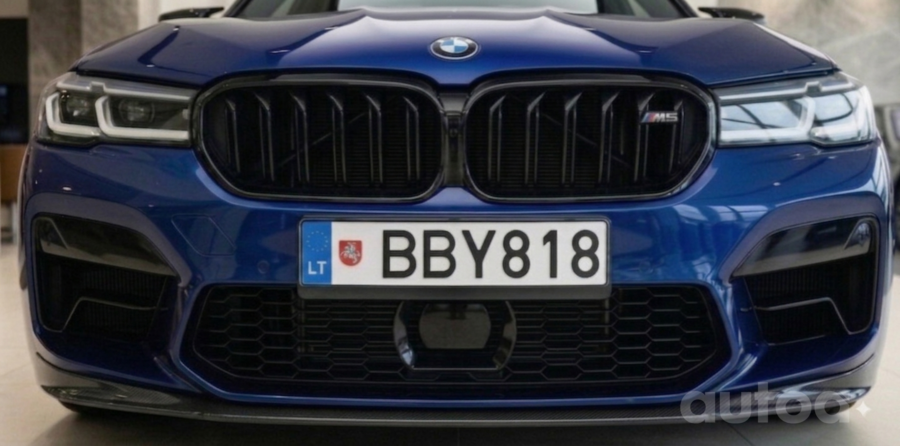 BBY818