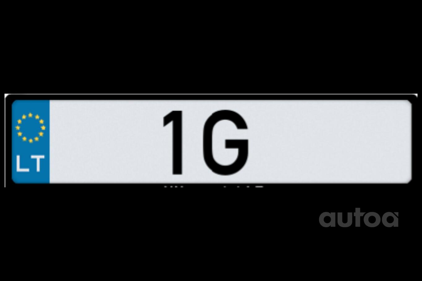 1G