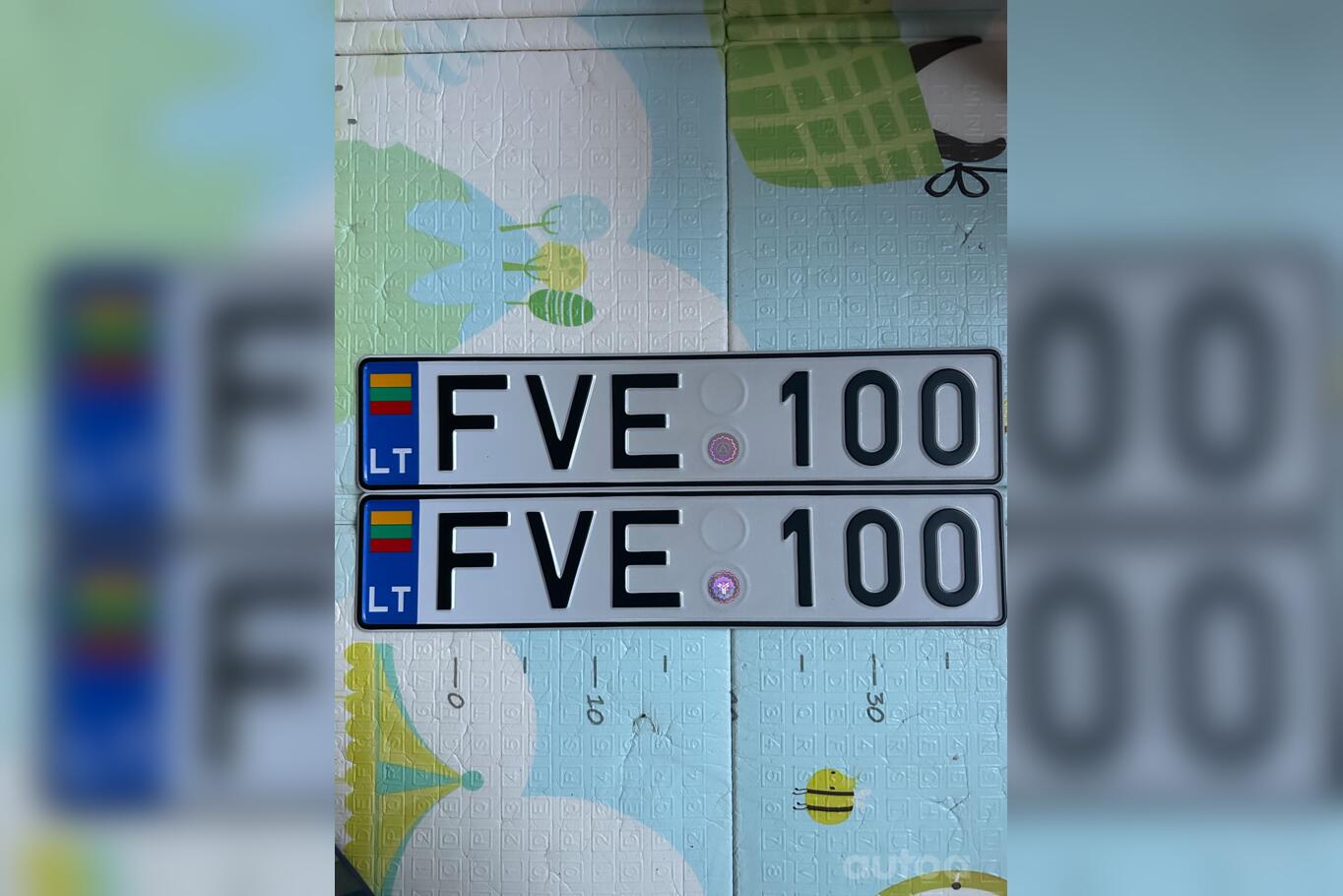 FVE100