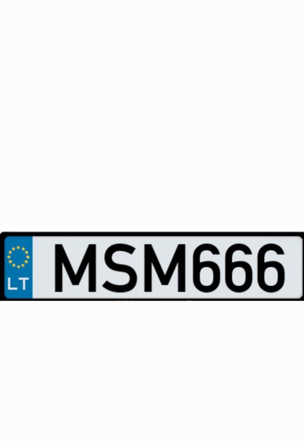 MSM666