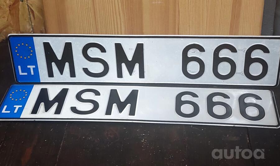 MSM666