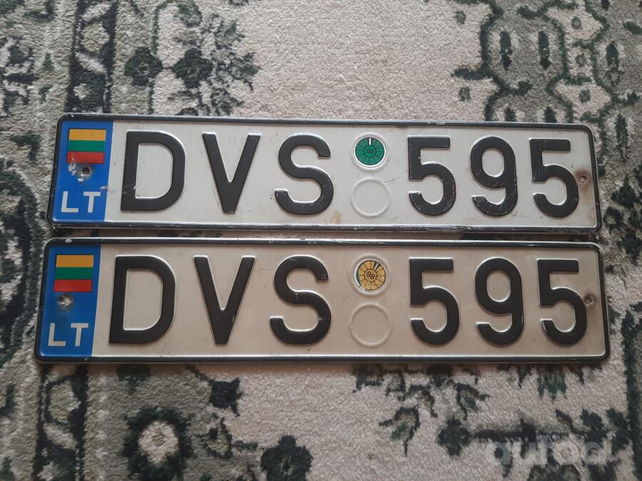 DVS595