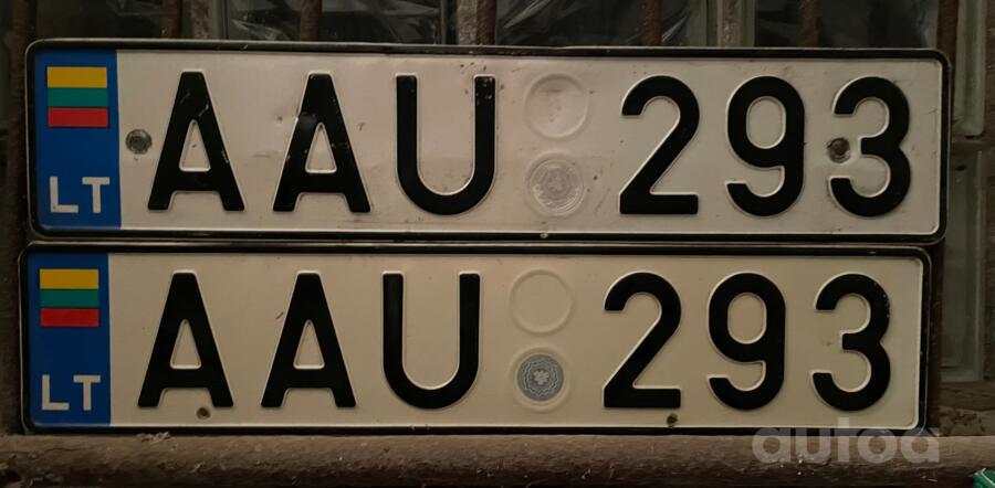AAU 293