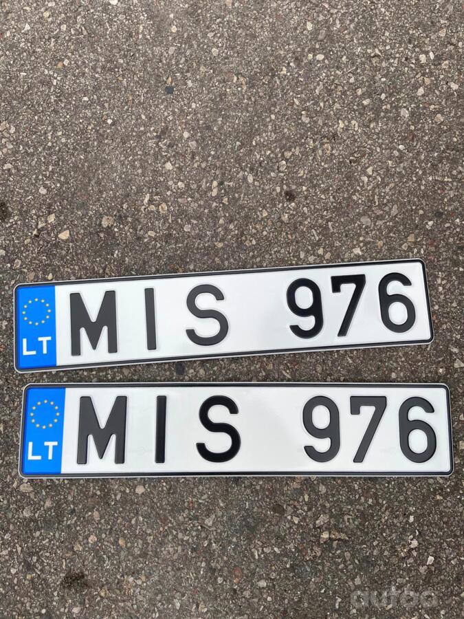 MIS 976