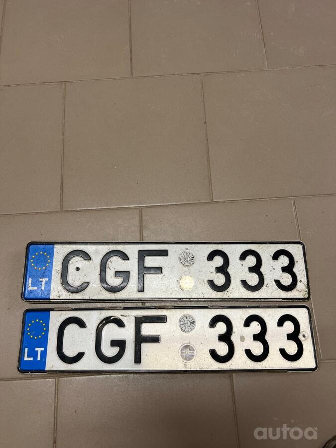 CGF333
