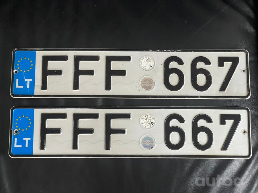 FFF667