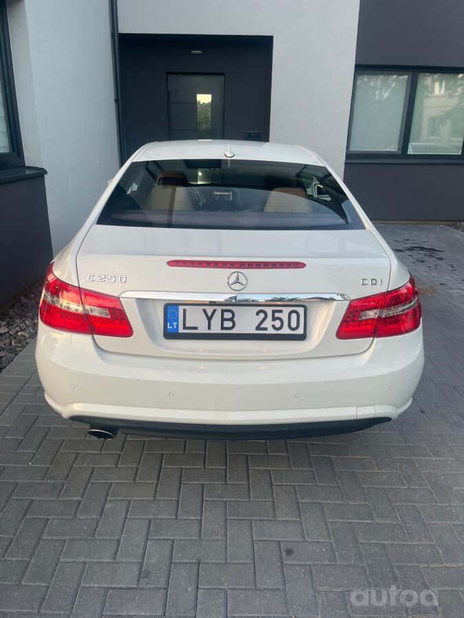 LYB 250