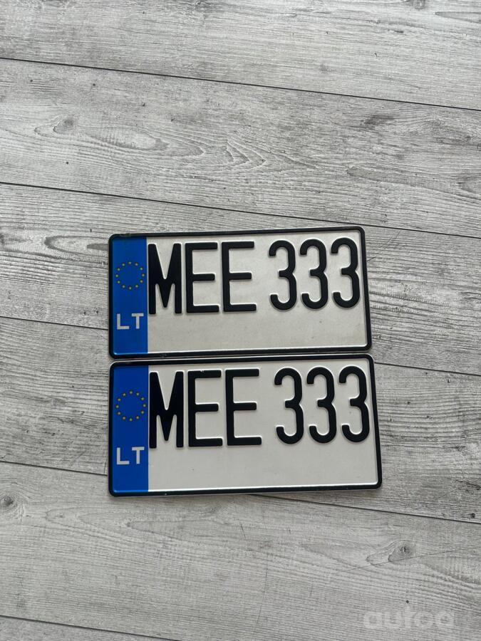 MEE333