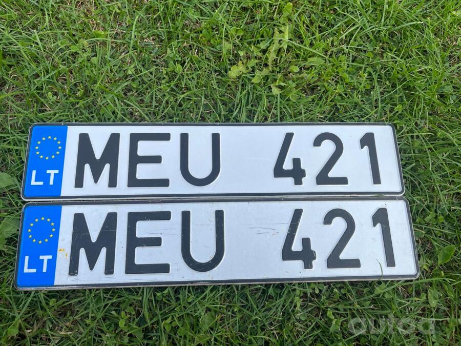MEU421