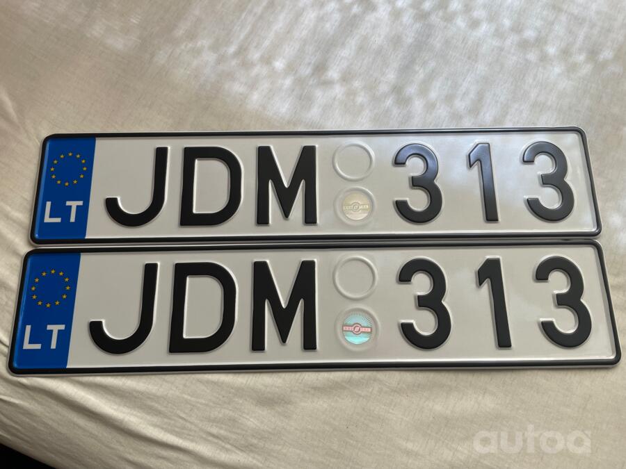 JDM313