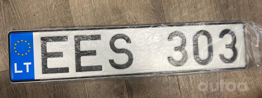 EES303