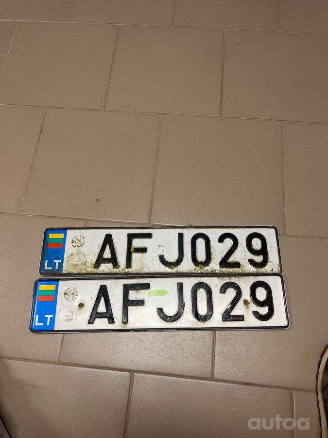 AFJ029
