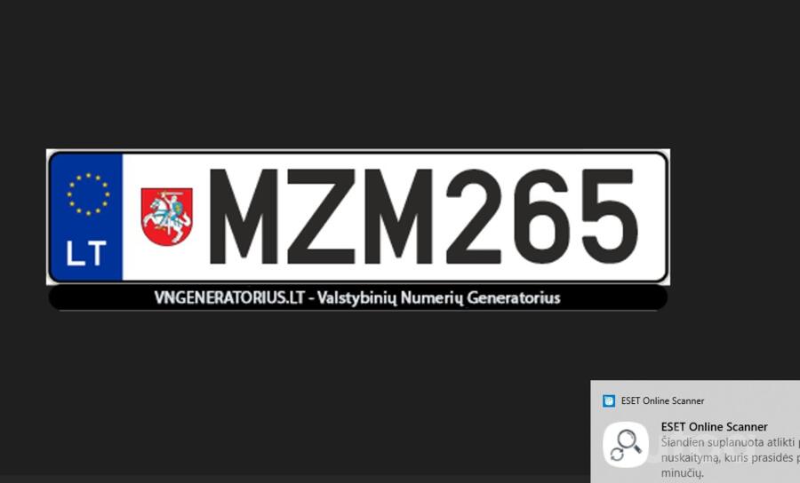MZM265