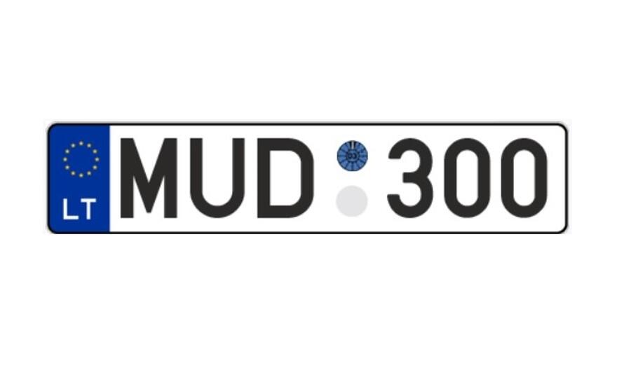 MUD300