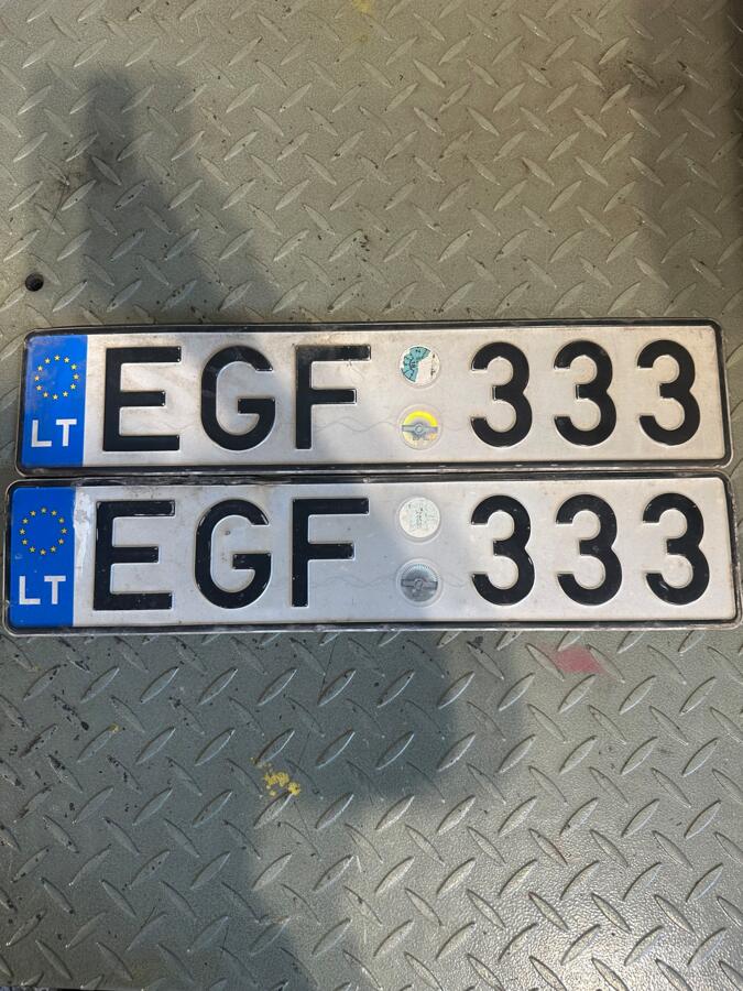 EGF333