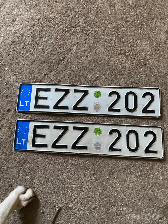 EZZ202