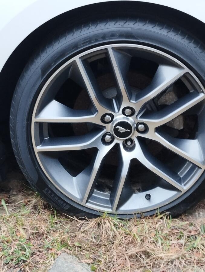 Ford, valuveljed