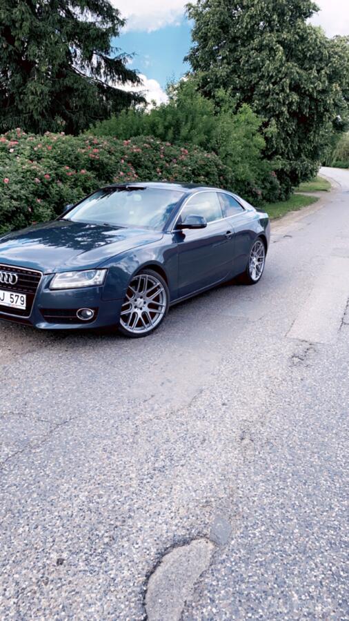 Audi, valuveljed