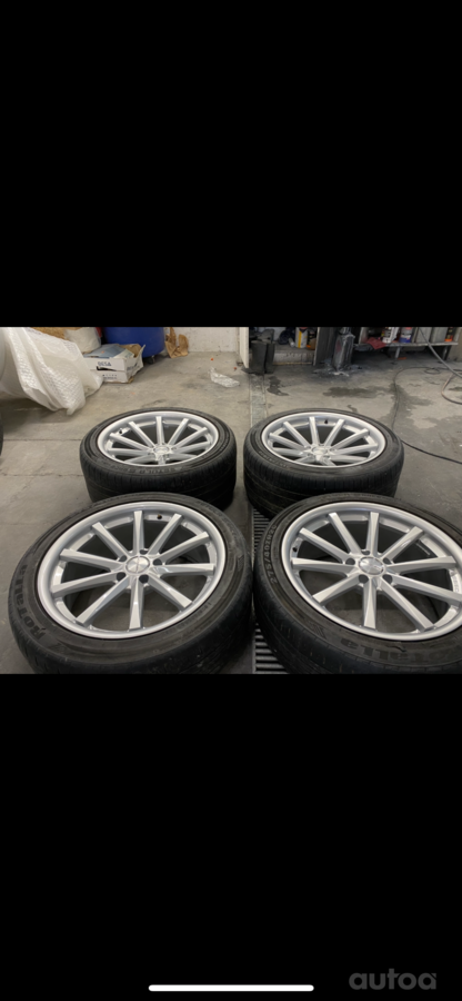 Vossen, valuveljed