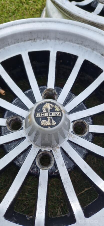 Shelby, valuveljed