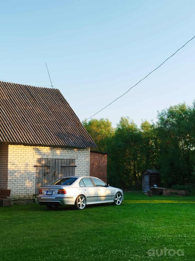 Muu, valuveljed