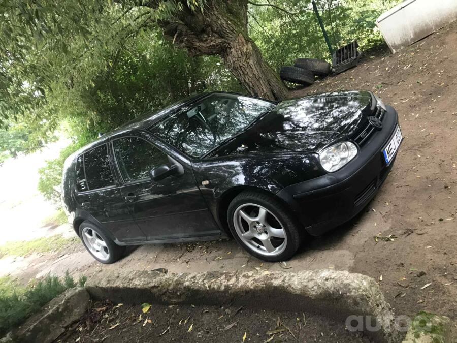 Fondmetal, valuveljed