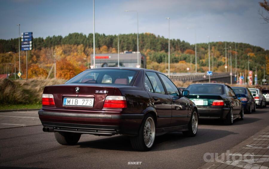 Bbs (replikos), valuveljed