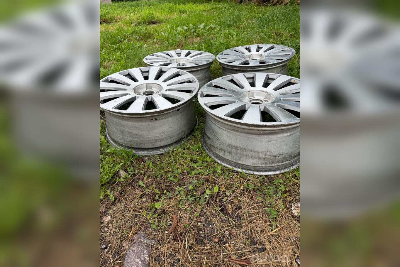 Audi, valuveljed