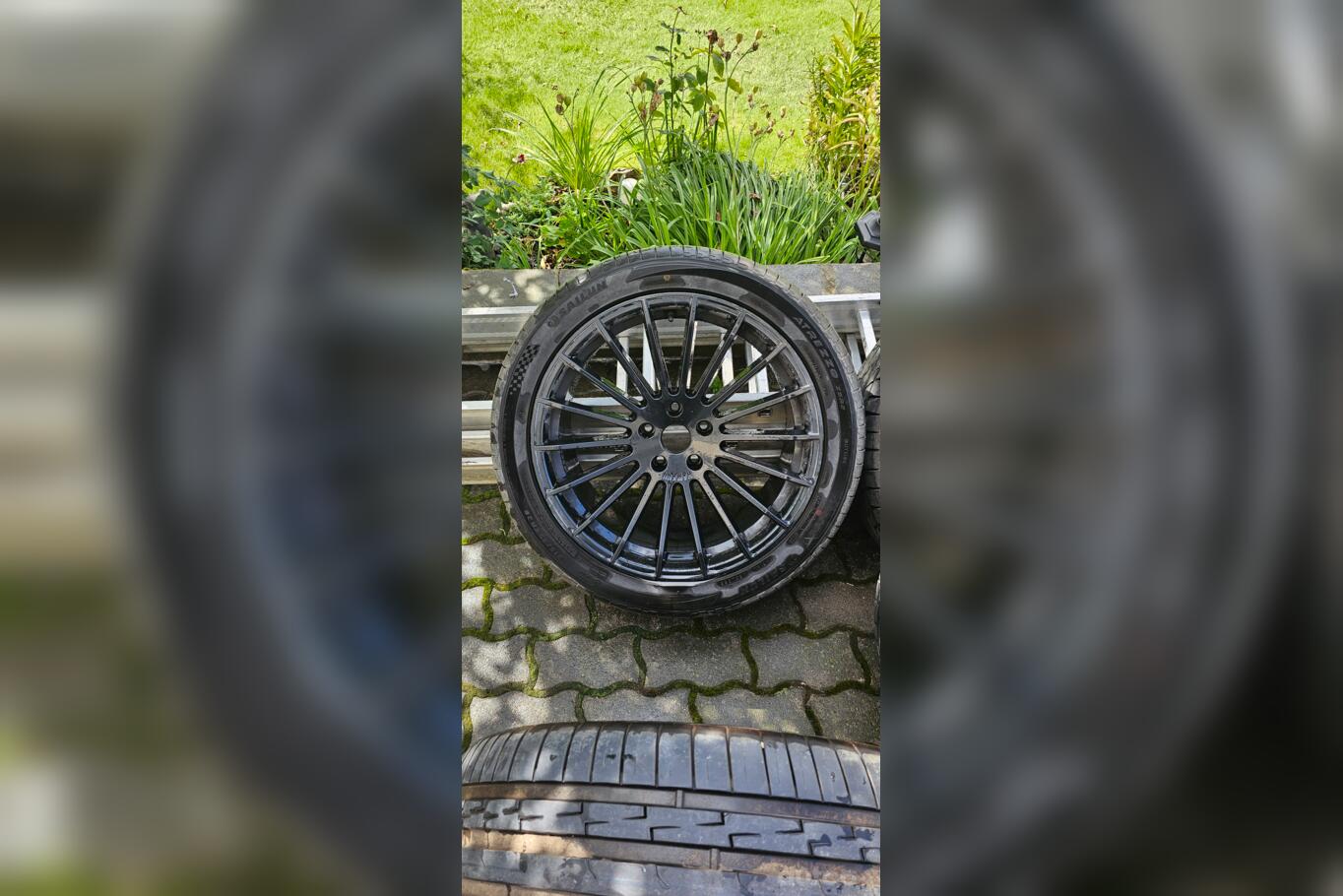 HAMANN, valuveljed
