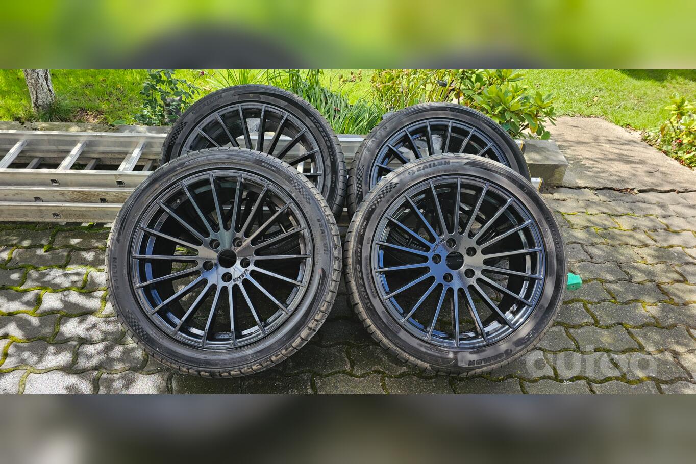 HAMANN, valuveljed
