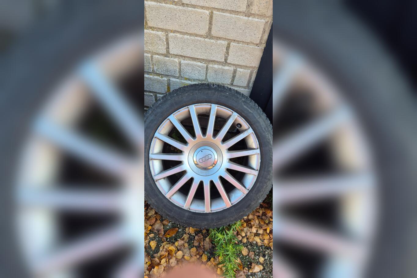Audi, valuveljed