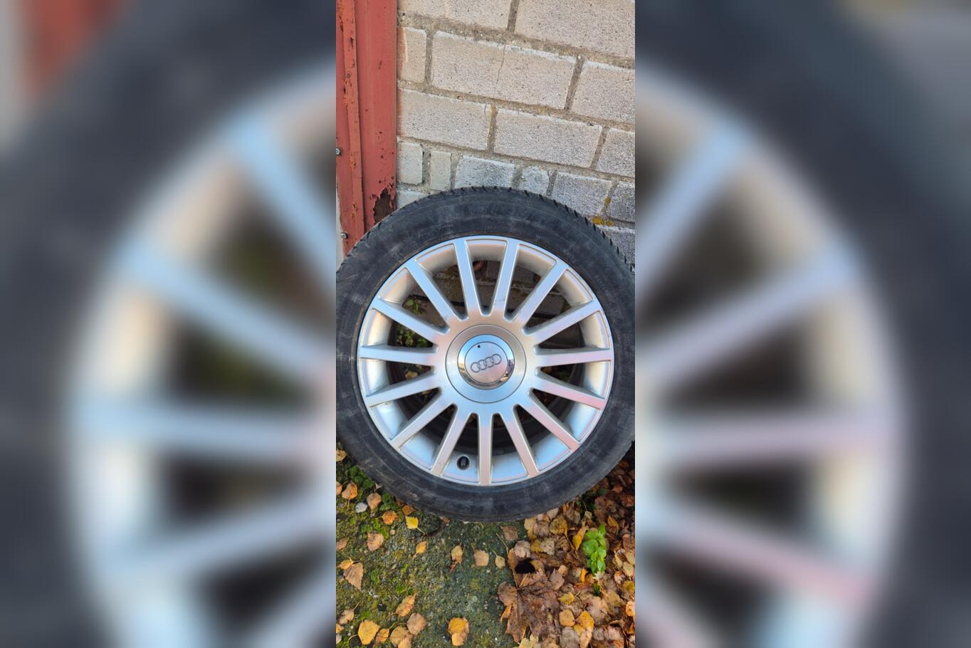 Audi, valuveljed