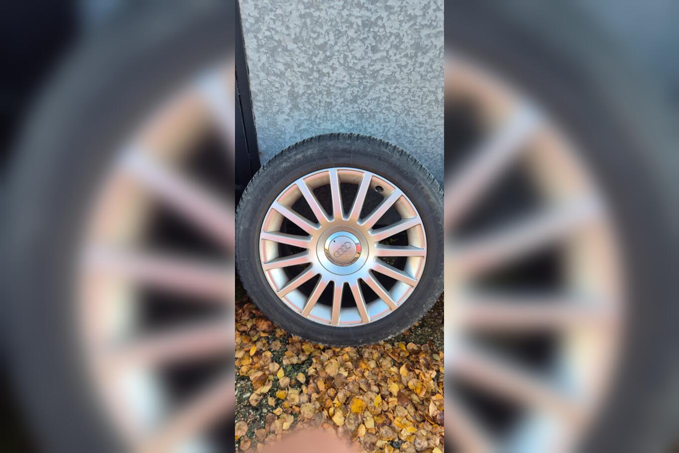 Audi, valuveljed