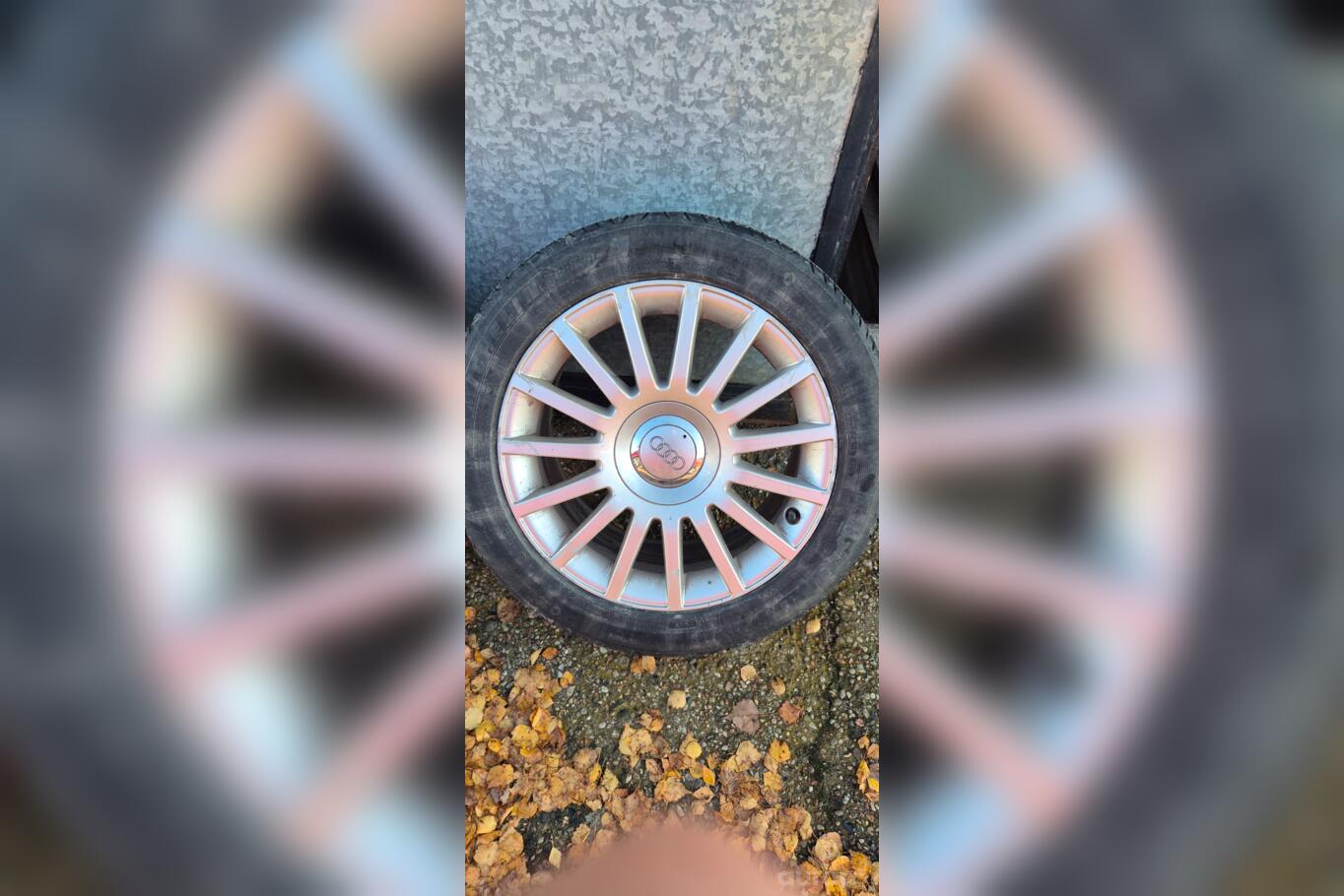 Audi, valuveljed