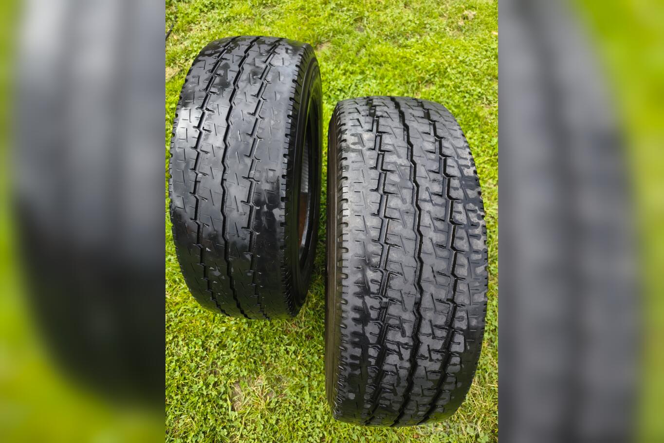 Toyo