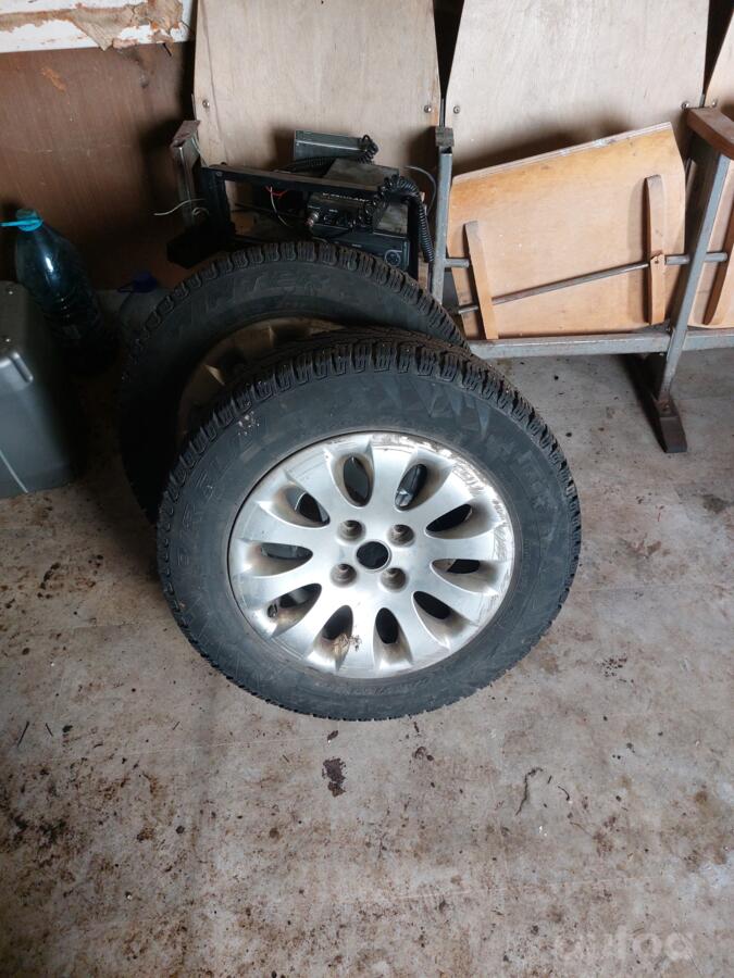 Pirelli