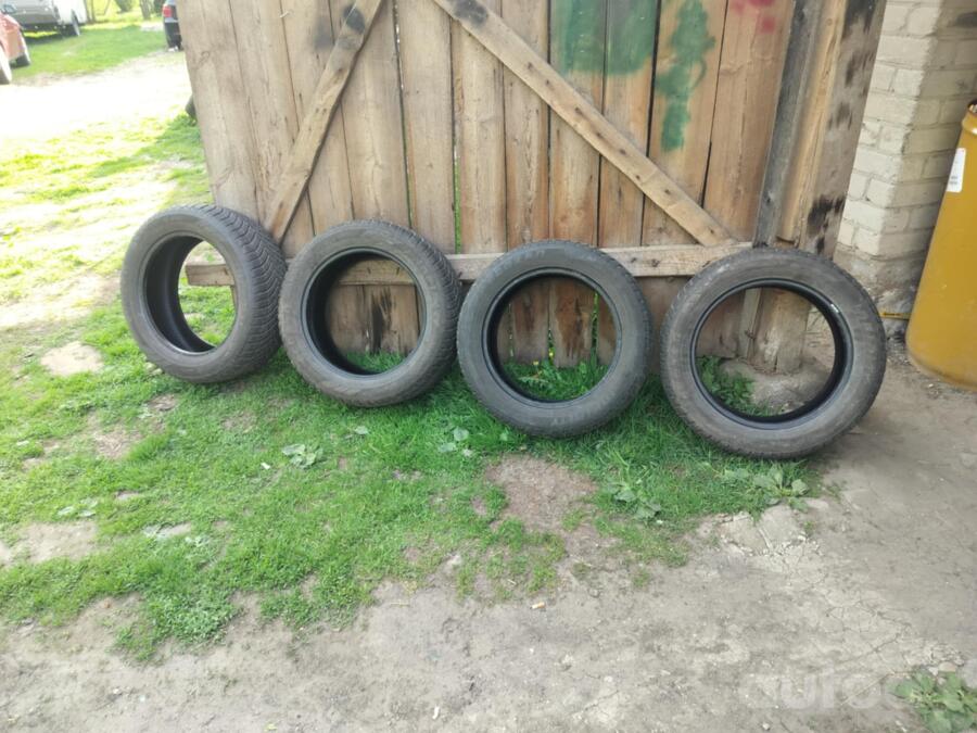 Rehvid, Muu
