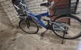 Mtb Spirit