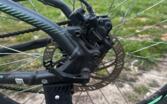 Bulls Sharptail 2 Disc