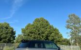 Mini Cooper S R56 Hatchback